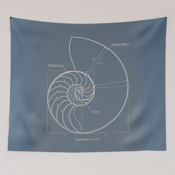 Item preview, Nautilus Shell Golden Ratio - Geometric Nature Art designed and sold by MarVan-Prints.