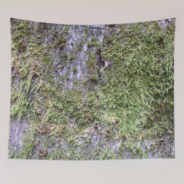 Item preview, Photo moss pattern plant designed and sold by PM-Artistic.