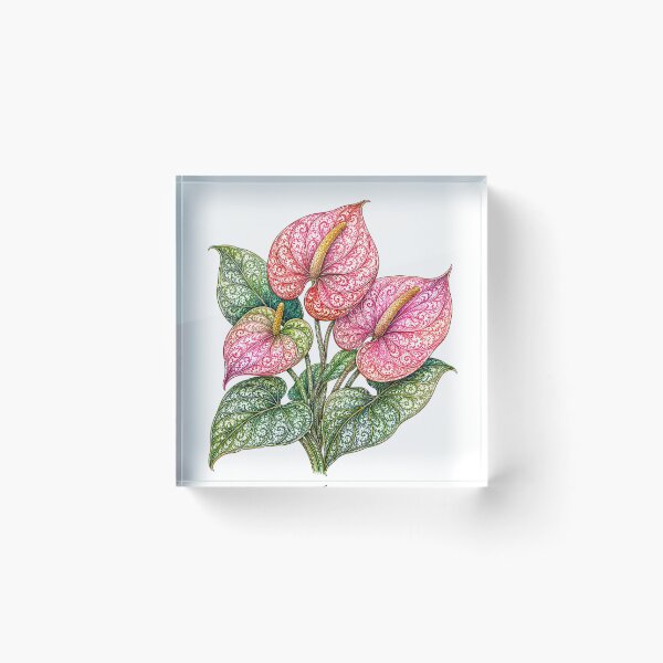 Item preview, Anthurium designed and sold by PaintedbyCarol.
