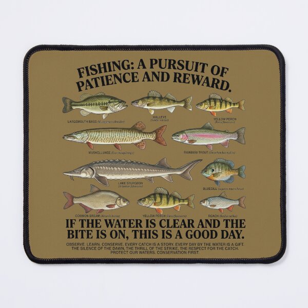 Item preview, Fishing: A Pursuit of Patience - Vintage Fish Guide designed and sold by By Dana Studio.