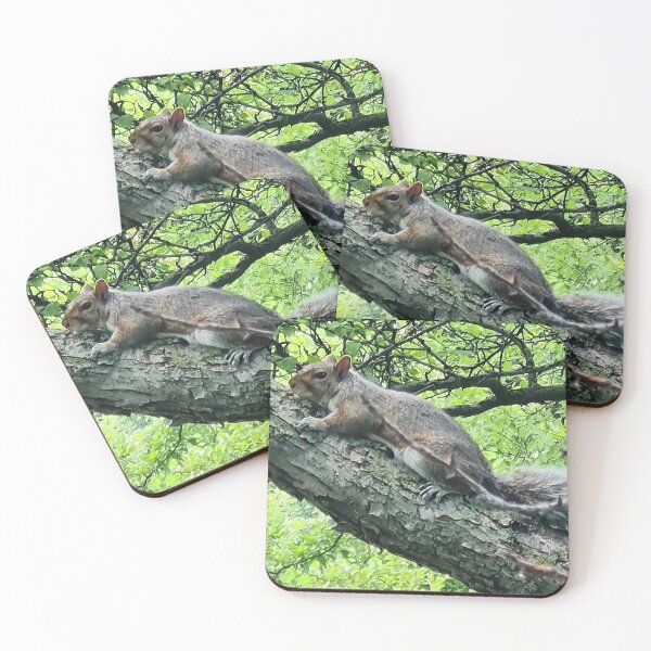 Item preview, Cute little squirrel in nature designed and sold by HemiShap.
