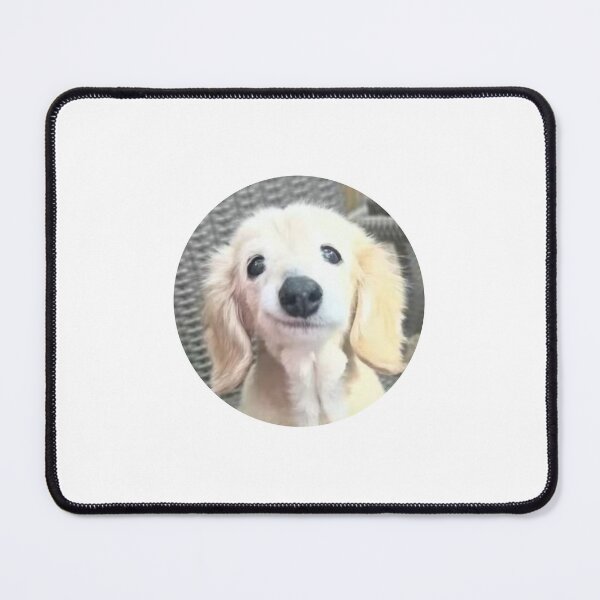 Item preview, cute puppy smirking designed and sold by noob publishing.