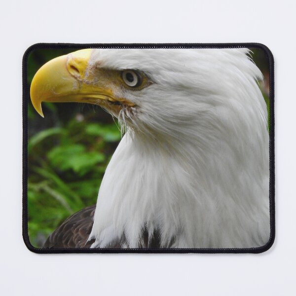 Item preview, Bald Eagle designed and sold by Speedy.