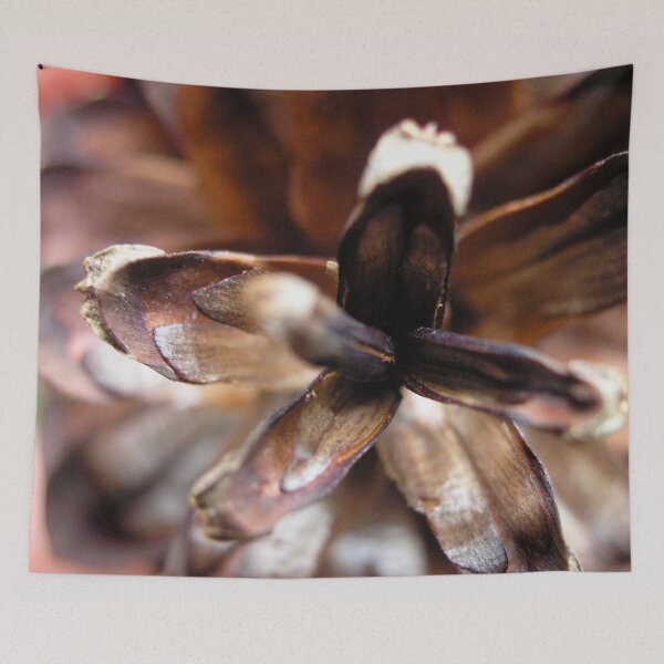 Item preview, Photo pine cones nature designed and sold by PM-Artistic.