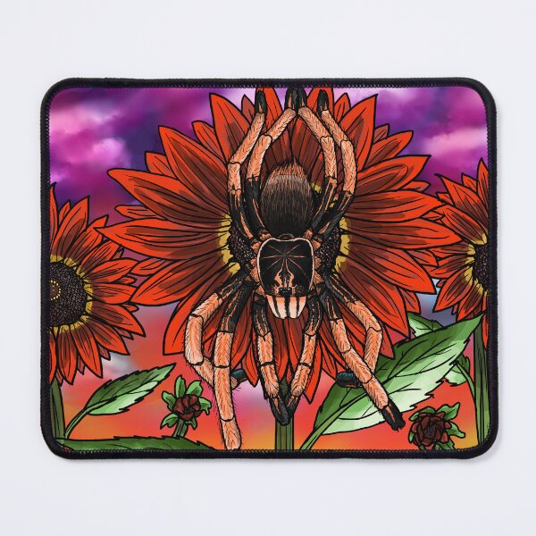 Item preview, Colombian Pink Sunburst Tarantula x Velvet Queen Sunflower designed and sold by JoyHappySpiders.