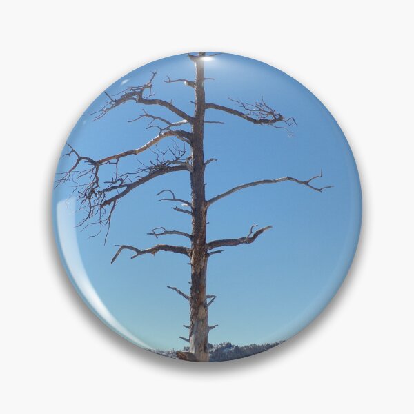 Item preview, Dead Tree in Winter designed and sold by Acts2-32Photos.