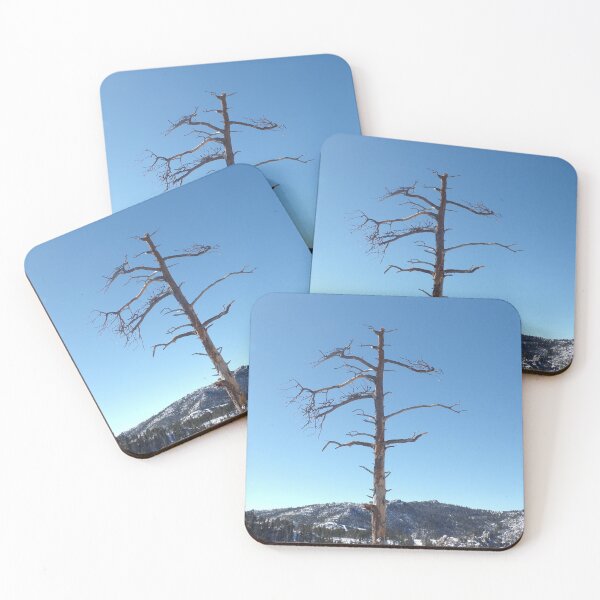 Item preview, Dead Tree in Winter designed and sold by Acts2-32Photos.