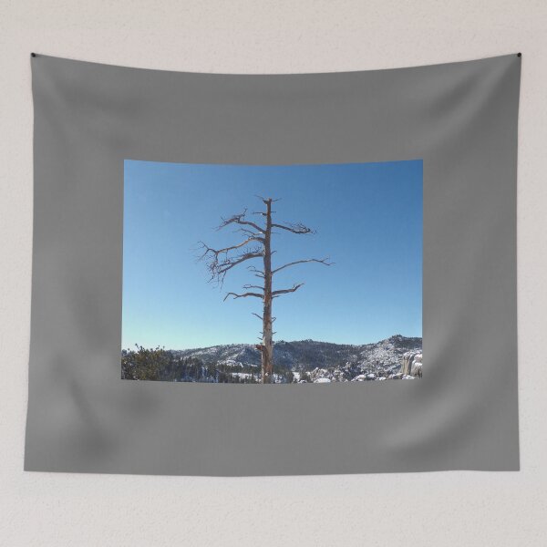 Item preview, Dead Tree in Winter designed and sold by Acts2-32Photos.