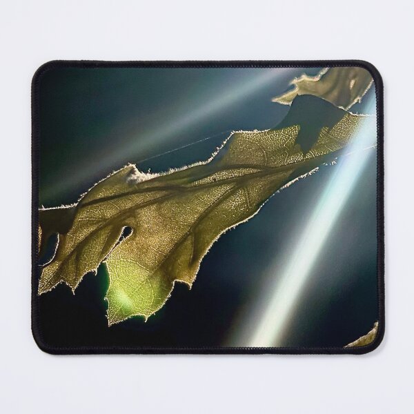 Item preview, Decaying Leaf at Golden Hour designed and sold by Baulmonart.