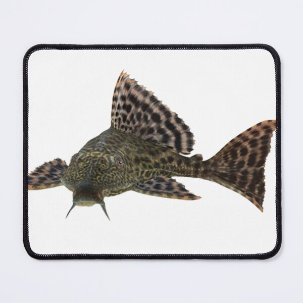 Item preview, pleco designed and sold by noob publishing.