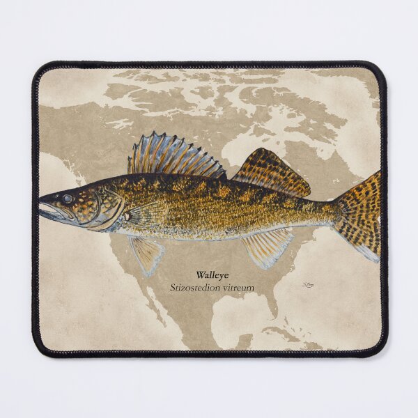Item preview, Walleye Painting designed and sold by Stephen Emms.