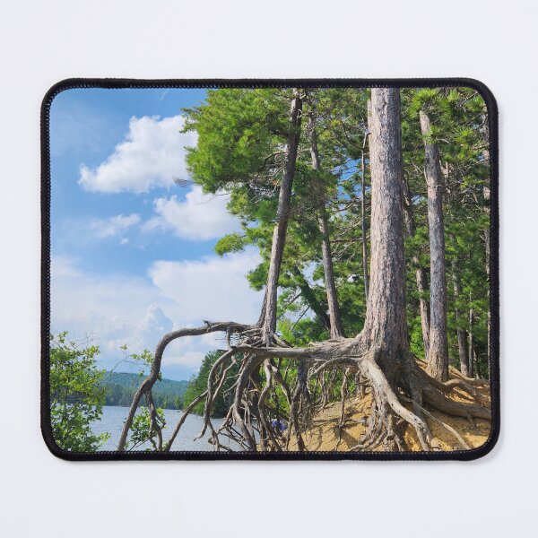 Item preview, Good Day For a Walk designed and sold by EveryDayWorld.