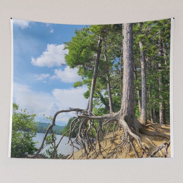 Item preview, Good Day For a Walk designed and sold by EveryDayWorld.