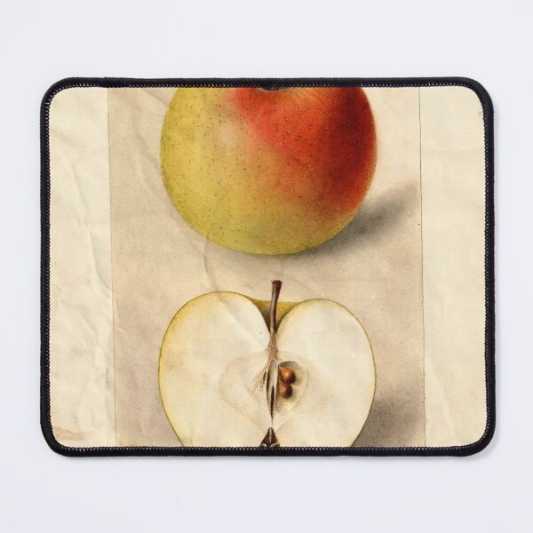 Item preview, Vintage Catherine Apple Botanical Illustration - 1898 designed and sold by RealityStickers.