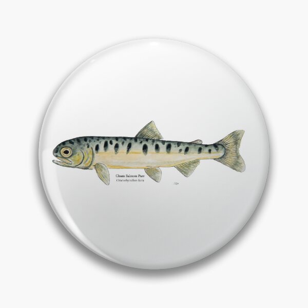 Item preview, Chum Salmon Parr Painting designed and sold by Stephen Emms.
