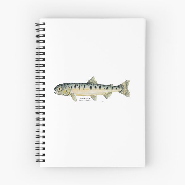 Item preview, Chum Salmon Parr Painting designed and sold by Stephen Emms.