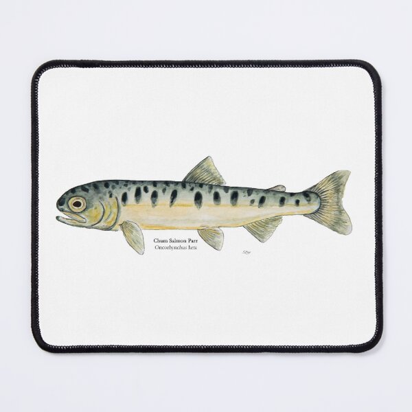 Item preview, Chum Salmon Parr Painting designed and sold by Stephen Emms.