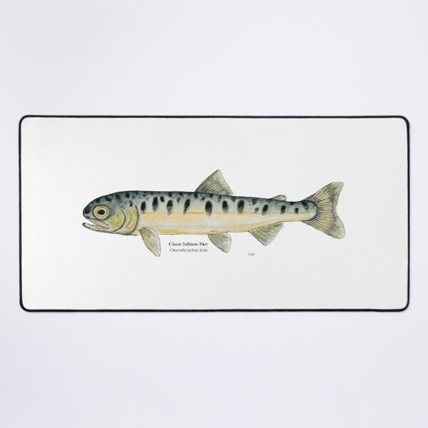Item preview, Chum Salmon Parr Painting designed and sold by Stephen Emms.