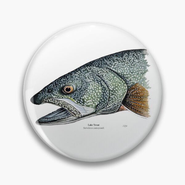 Item preview, Lake Trout Head Painting designed and sold by Stephen Emms.