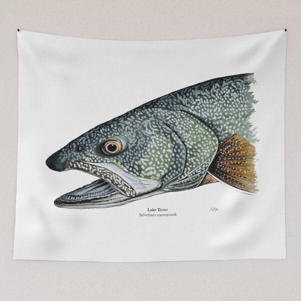 Item preview, Lake Trout Head Painting designed and sold by Stephen Emms.