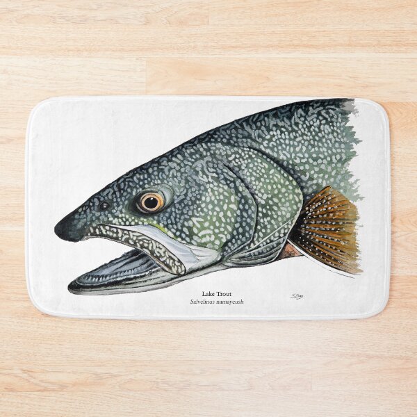Item preview, Lake Trout Head Painting designed and sold by Stephen Emms.