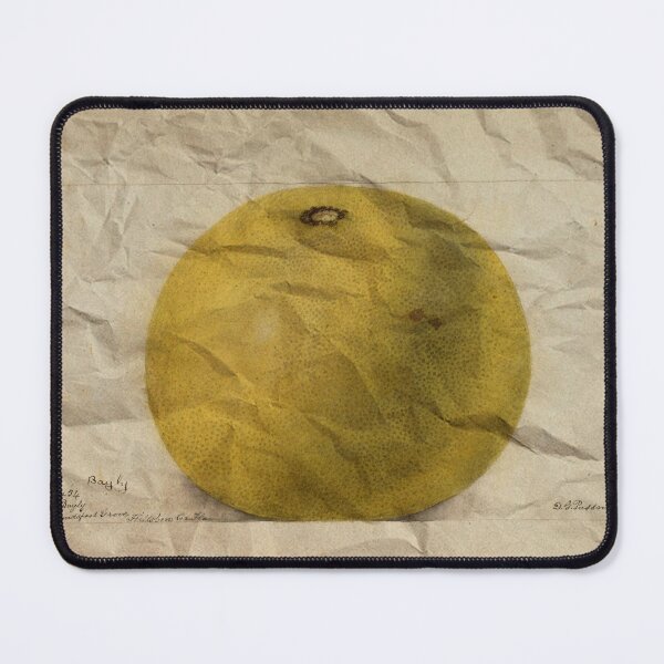 Item preview, Vintage Bayly Grapefruit Botanical Art - Passmore 1902 designed and sold by RealityStickers.