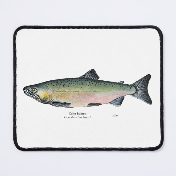Item preview, Coho Salmon designed and sold by Stephen Emms.