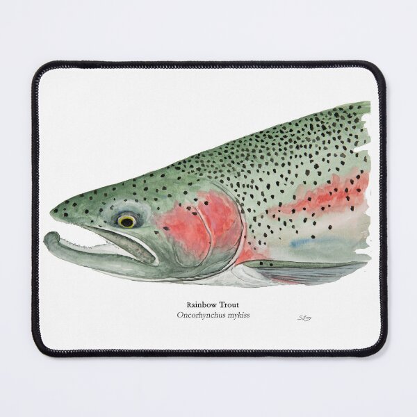 Item preview, Rainbow Trout Painting designed and sold by Stephen Emms.