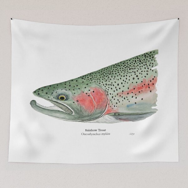 Item preview, Rainbow Trout Painting designed and sold by Stephen Emms.