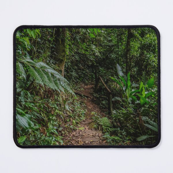 Item preview, Hidden Jungle Path in Brazil designed and sold by brunodiasfoto.