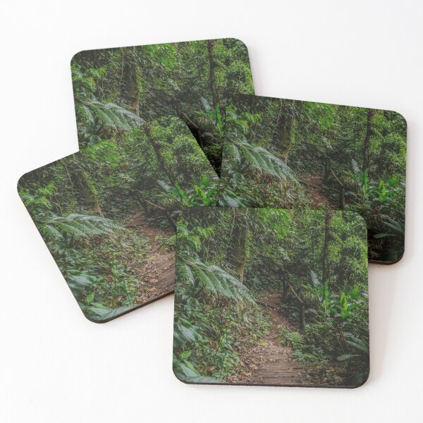 Item preview, Hidden Jungle Path in Brazil designed and sold by brunodiasfoto.
