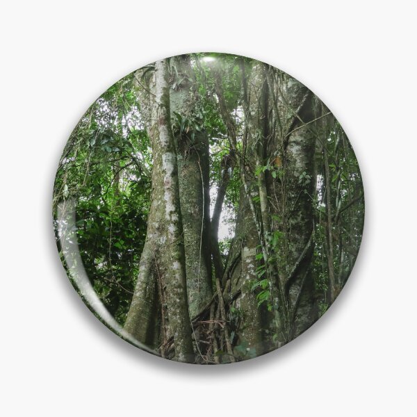 Item preview, Ancient Rainforest Trees in Brazil designed and sold by brunodiasfoto.