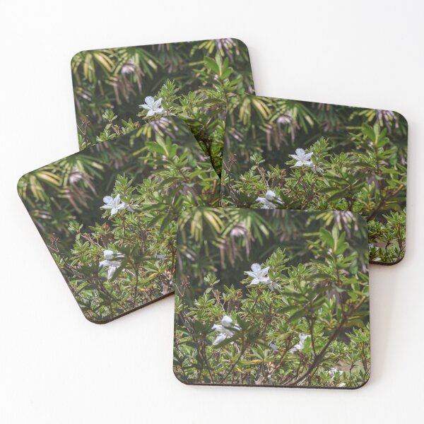 Item preview, Wild Tropical Flowers in Brazil designed and sold by brunodiasfoto.