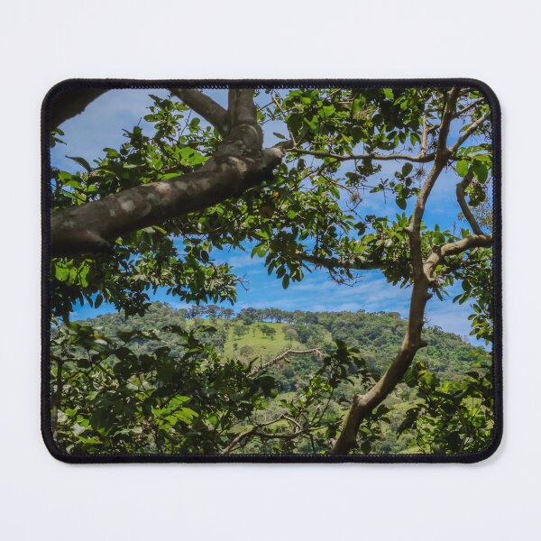 Item preview, Hidden Nature View in Brazil designed and sold by brunodiasfoto.