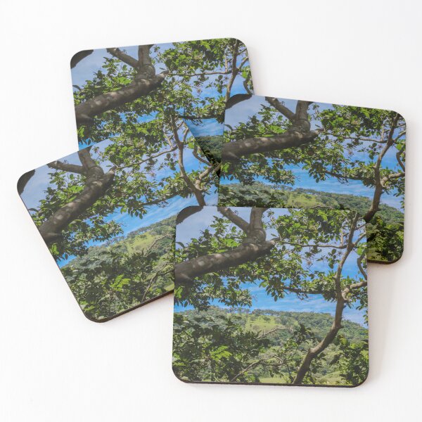Item preview, Hidden Nature View in Brazil designed and sold by brunodiasfoto.