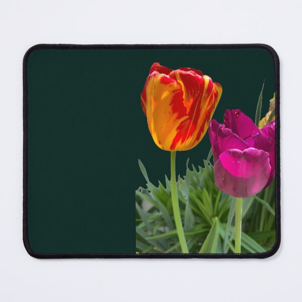 Item preview, Colorful Tulips  designed and sold by Amanda1775.