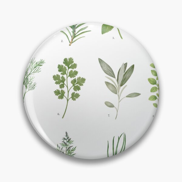 Item preview, Herbs with Scientific Names designed and sold by Hannah Mixes Mediums.