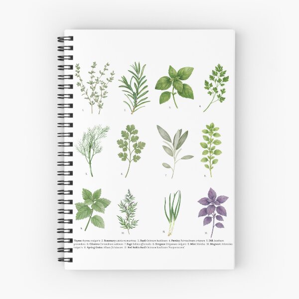 Item preview, Herbs with Scientific Names designed and sold by Hannah Mixes Mediums.