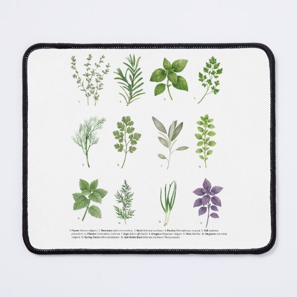Item preview, Herbs with Scientific Names designed and sold by Hannah Mixes Mediums.