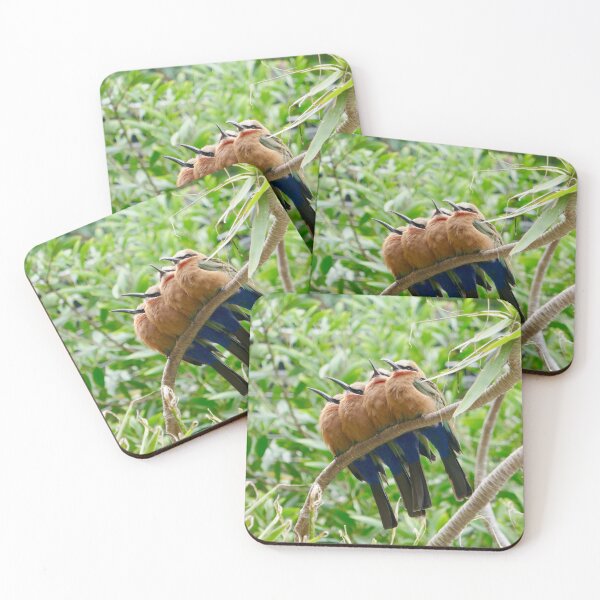 Item preview, Harmony on a Branch: Four Colorful Friends designed and sold by sky earth human.