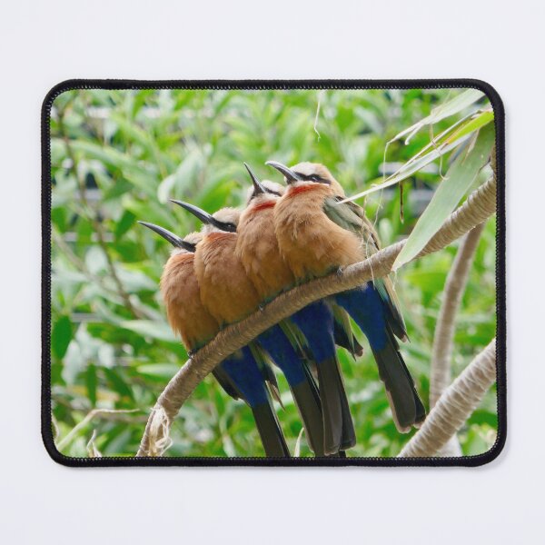 Item preview, Harmony on a Branch: Four Colorful Friends designed and sold by sky earth human.