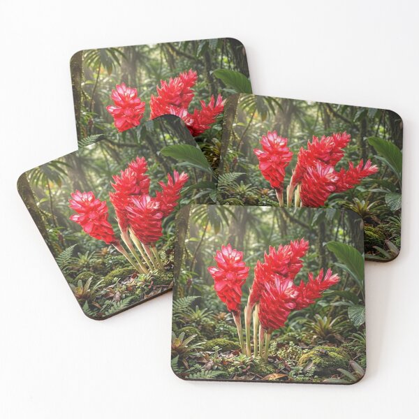 Item preview, Vibrant Red Ginger Flower in Lush Tropical Rainforest designed and sold by Mindful Heritage.