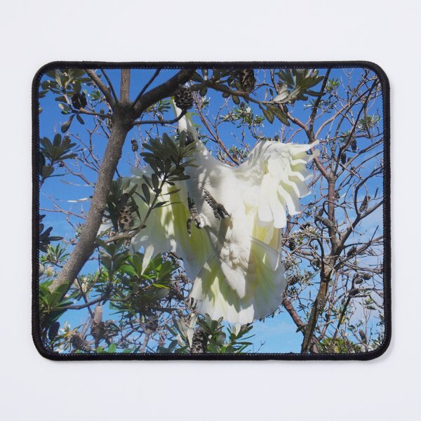 Item preview, Leaves and Feathers designed and sold by Annalucia.