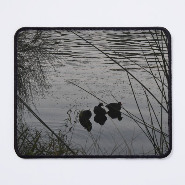 Item preview, All your ducks in a row designed and sold by getmybookstore.
