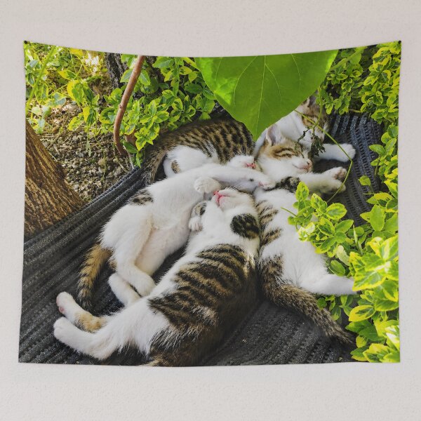Aperçu de l'œuvre Chatons endormis dans la nature créée et vendue par inspiration3.