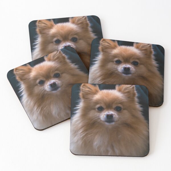 Item preview, Pequeño pomerania lindo designed and sold by Michael Grøndahl.
