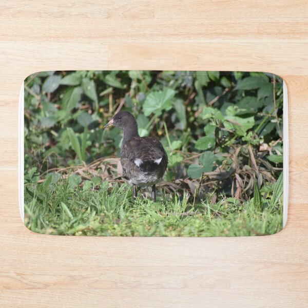 Item preview, Baby Moorhen in Lush Green Habitat designed and sold by getmybookstore.