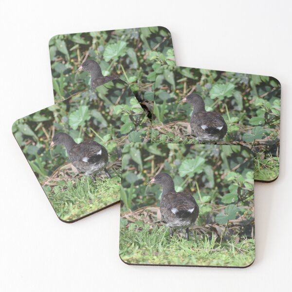 Item preview, Baby Moorhen in Lush Green Habitat designed and sold by getmybookstore.