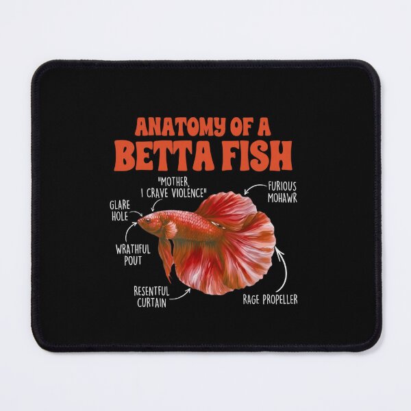 Item preview, Anatomy of a Betta Fish Funny Siamese Fighting Fish Meme designed and sold by haitrieuic96.
