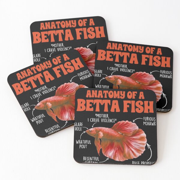 Item preview, Anatomy of a Betta Fish Funny Siamese Fighting Fish Meme designed and sold by haitrieuic96.